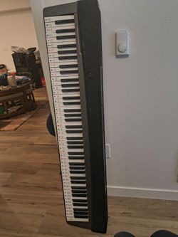 Casio privia px-130