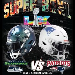 Superbowl Shirts Patriots Seahawks Game 