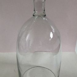 Cloche Dome Bell Glass Bird Knob Handle Apothecary Display 12”X 5”