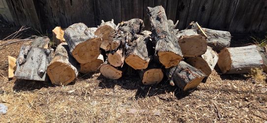 FREE WOOD