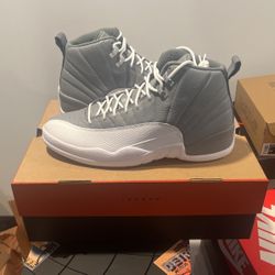 Jordan 12 Stealth Size 13