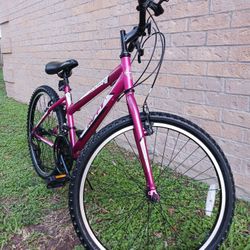 Bisicleta Rodada 24"