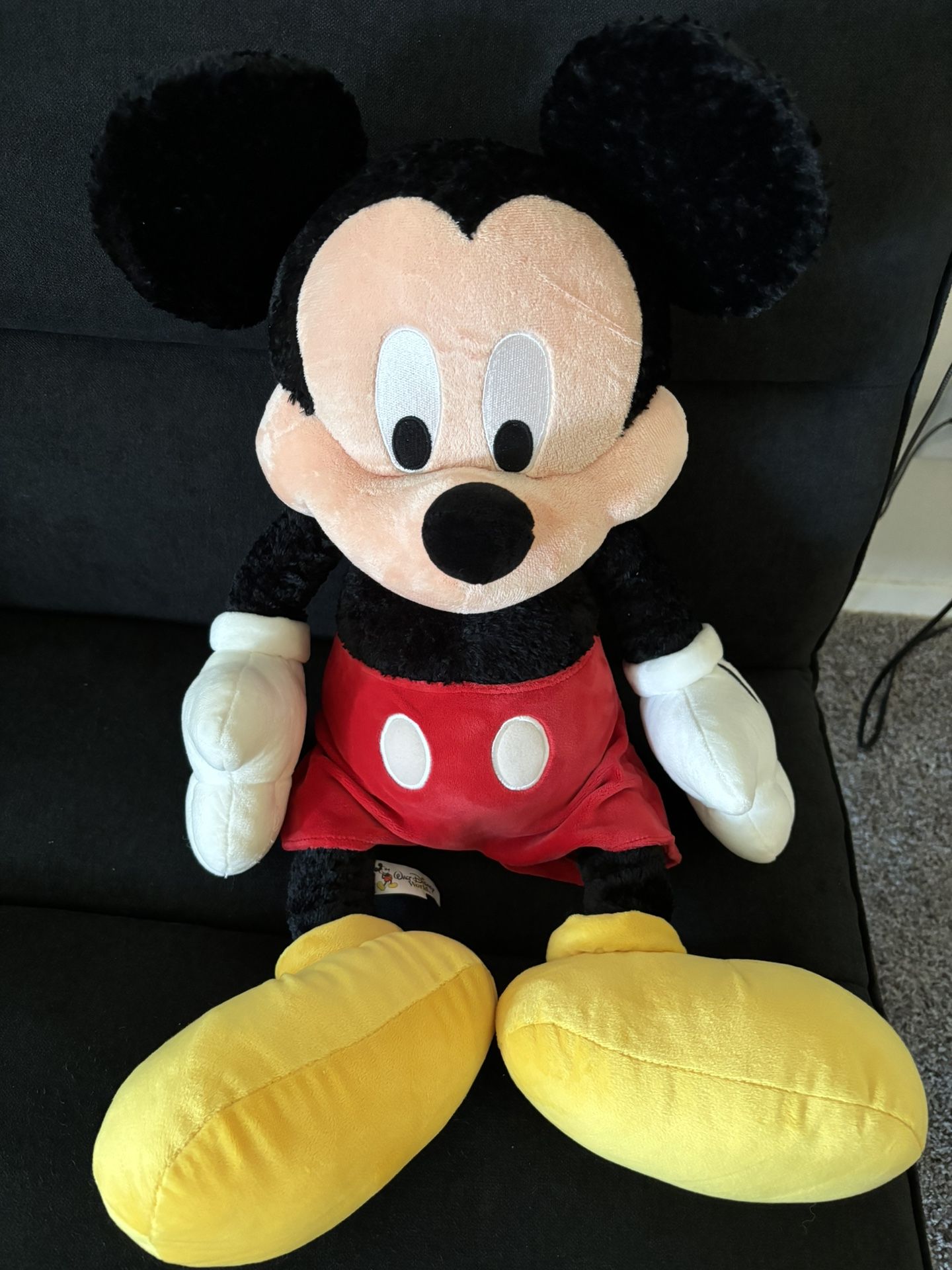 Mickey Disney Character