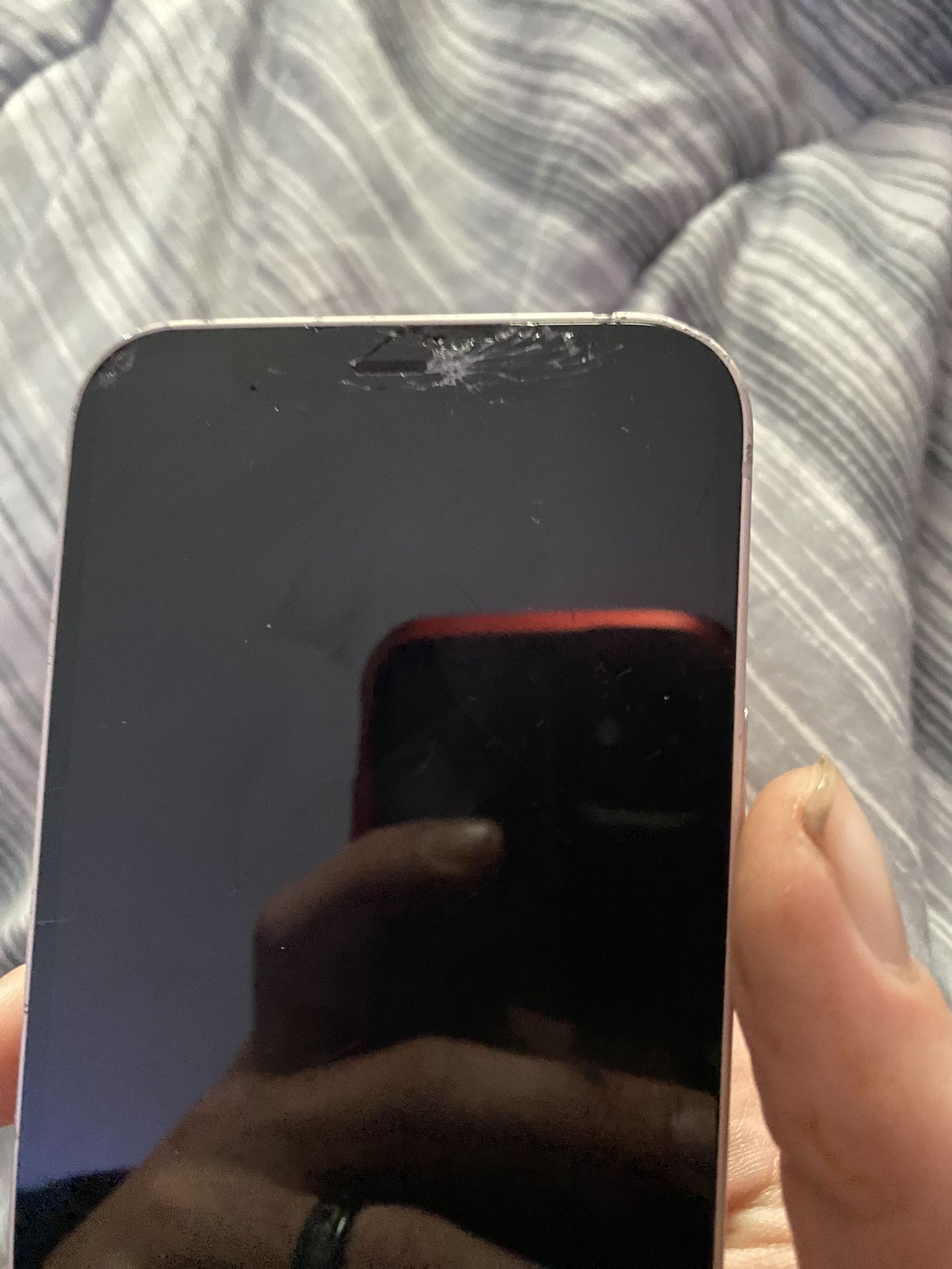 iPhone 12