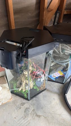 Fish tank