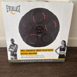 Everlast Boxing Machine