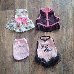 Used XS & Small Dog Clothing $10 For All Of Them