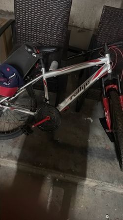 Rallye decent  bike
