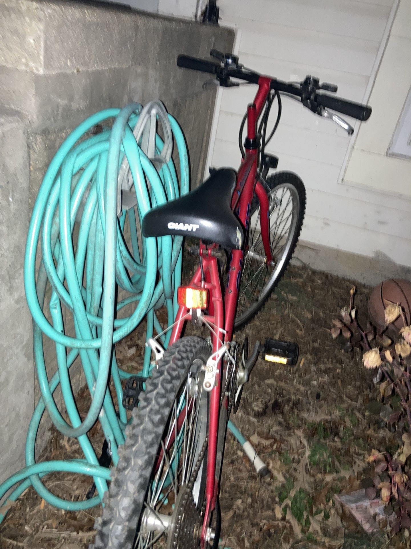 Giant bike