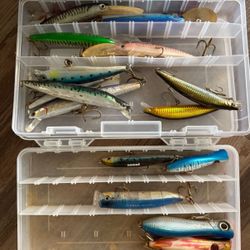 Poppers,stickbait,deep Diving Rapalas And Jerkbaits
