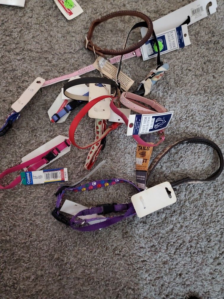 2000$ Worth Of Dog Leashes Collars Outfits Harnesses Etc For 600$