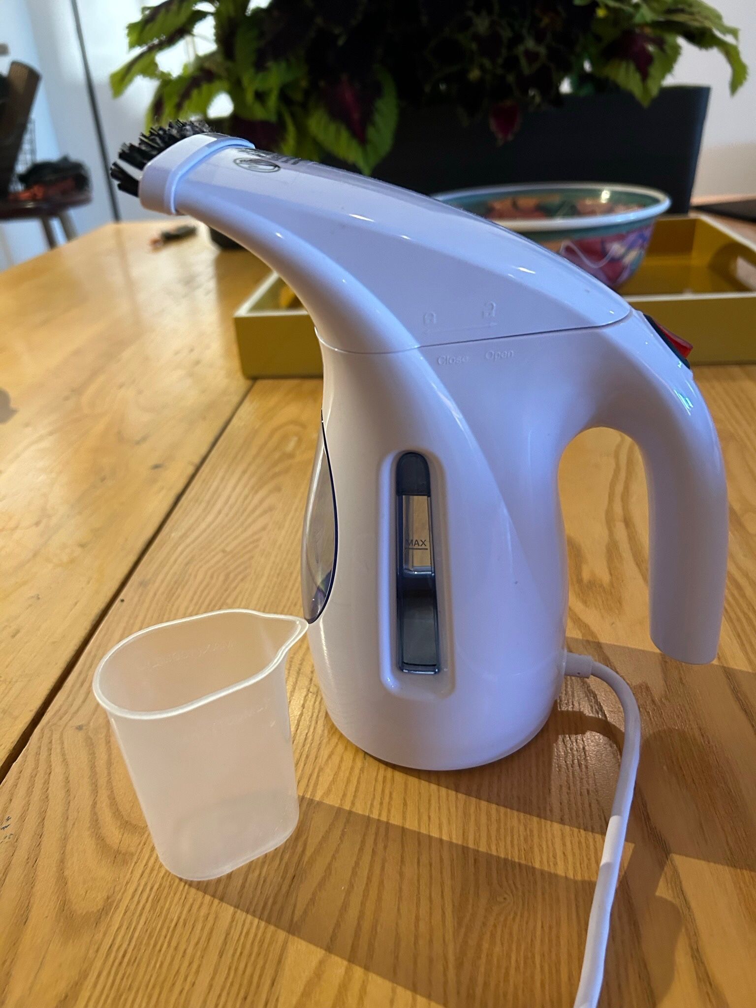 Garment Steamer