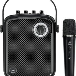 Portable Speaker And Microphone Set 
