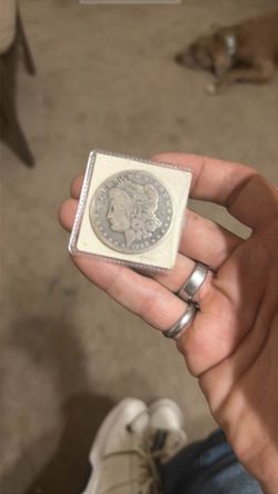 Morgan Silver Dollar in Coin Holder