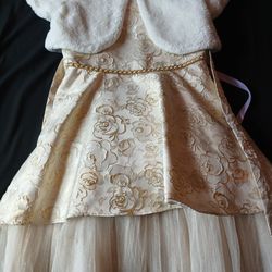 Girls Dresses
