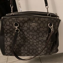 Large Coach Purse