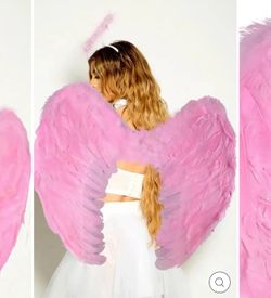 Pink Wings Feather