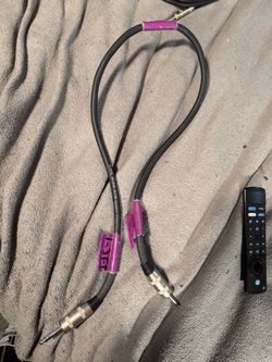 Live Wire Elite Speaker Cable 1/4" 3ft