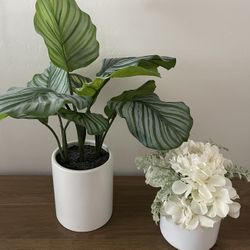 Fake Plants / Flowers 