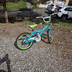 Schwinn Girl's Bike