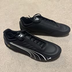 Puma SF Future Kart Cat