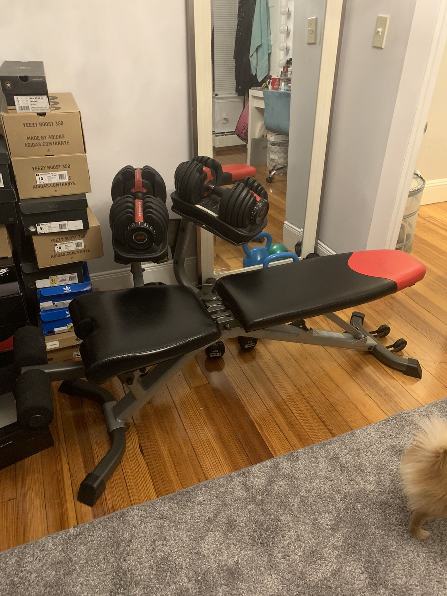 Bowflex bench and weights