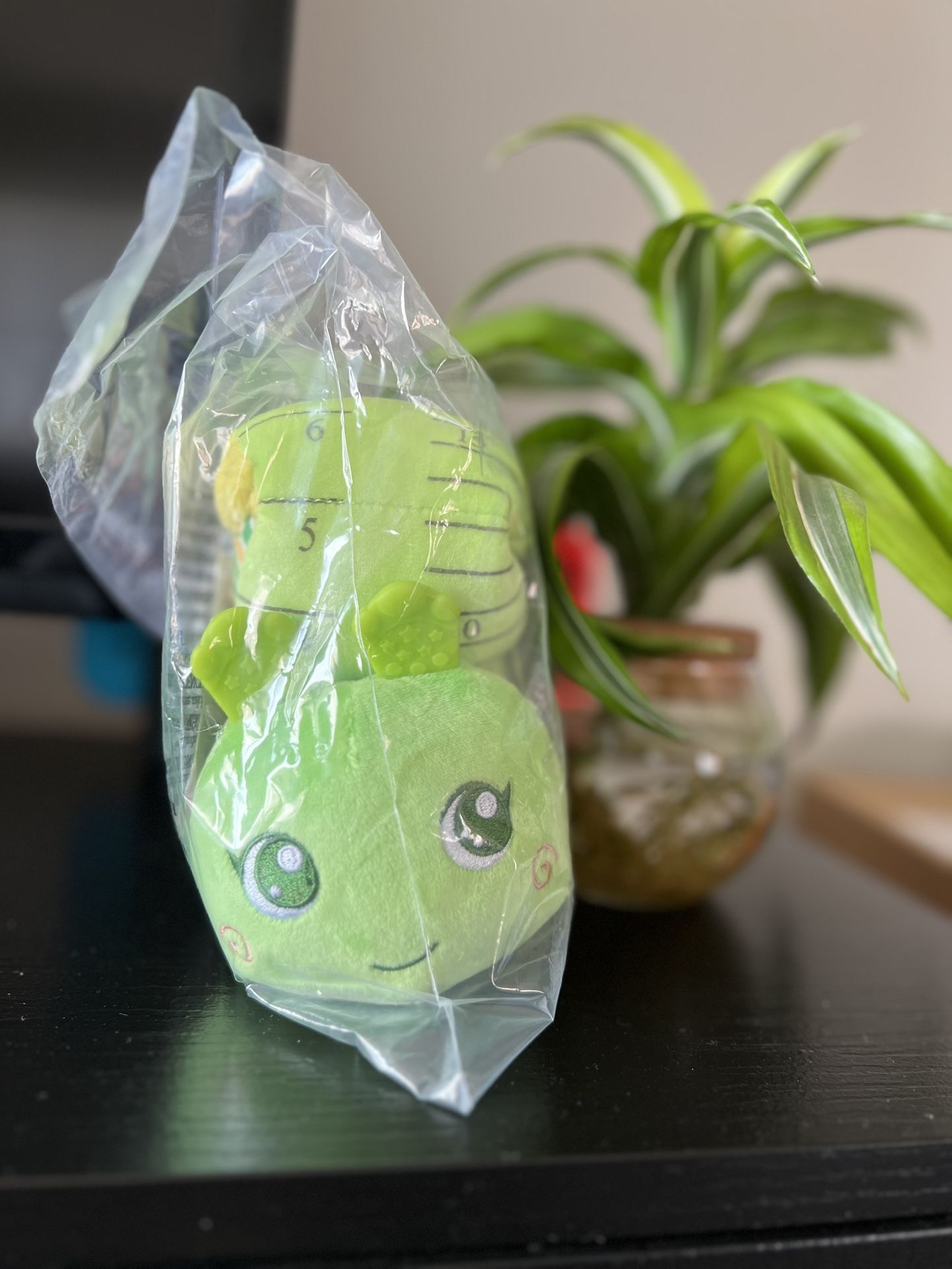 Baby Toy