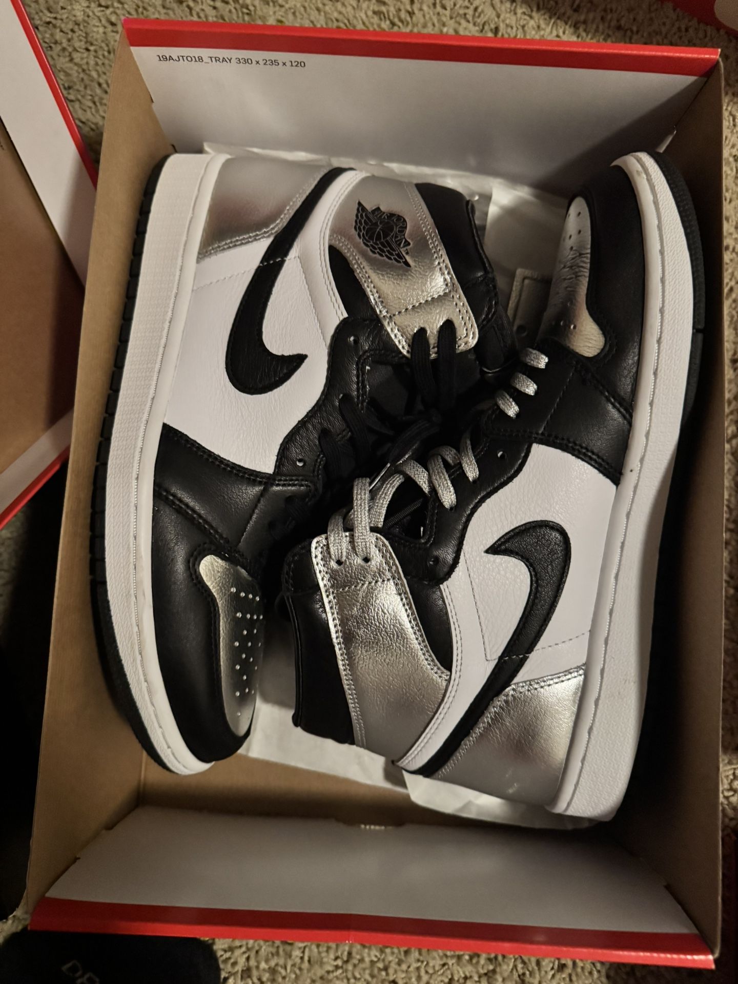 Jordan 1 Silver Woman’s 10.5