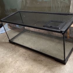 20 gallon reptile tank