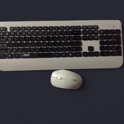 WorkEZ Wireless Keyboard and Wireless Mouse