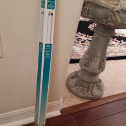 Aquarium Lamp In Weeki Wachee Spring Hill