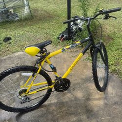 New Mountain Bike 