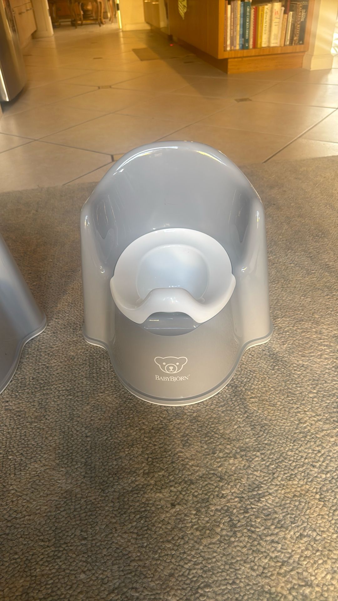 Baby Bjorn Potty Chair