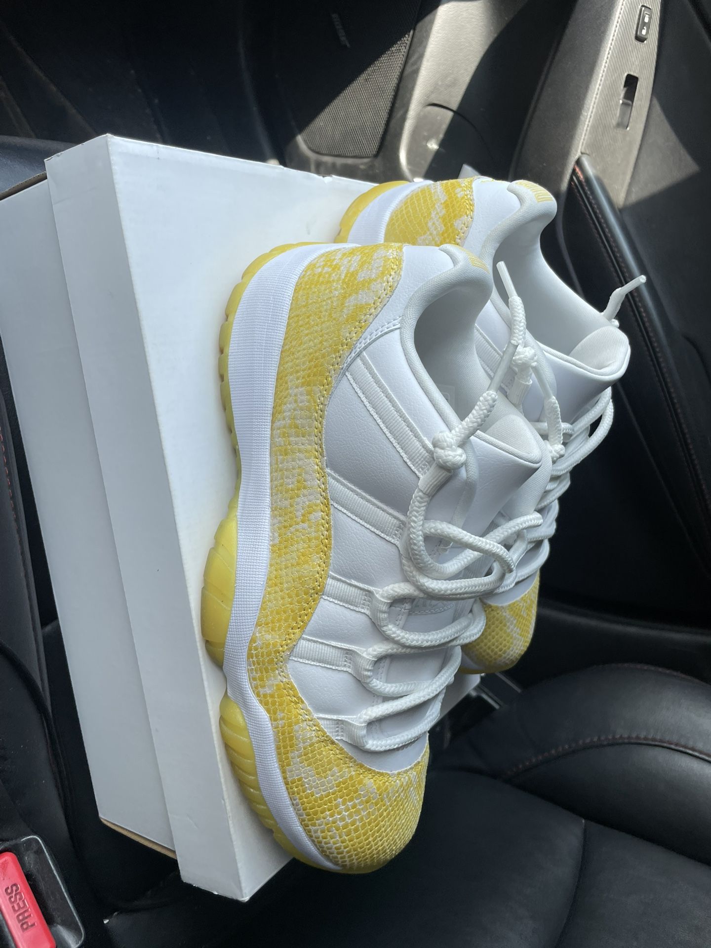 Jordan Low 11 Snakeskin