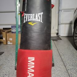 MMA Everlast Heavy Bag