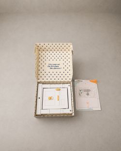 NEW Purrfect Portal Beacon Hill Interior Cat Door – White & Gold