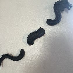 3 pc Dragon Art