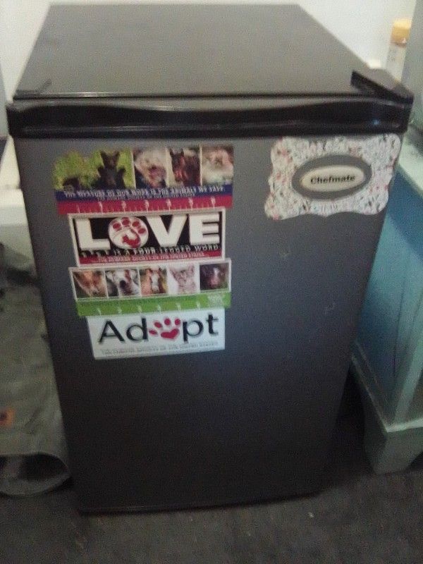 Mini Fridge
