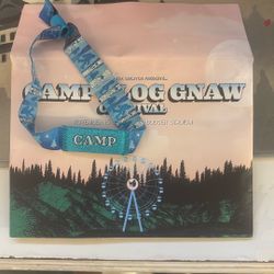 Camp Flog Gnaw wristband for sale