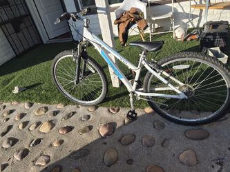 Adult bicycle