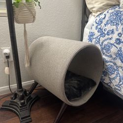 Cat Bed