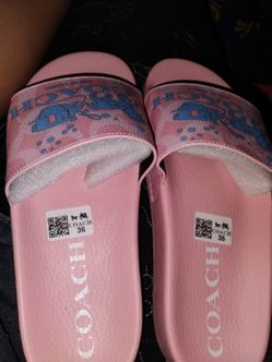 Coach slides
