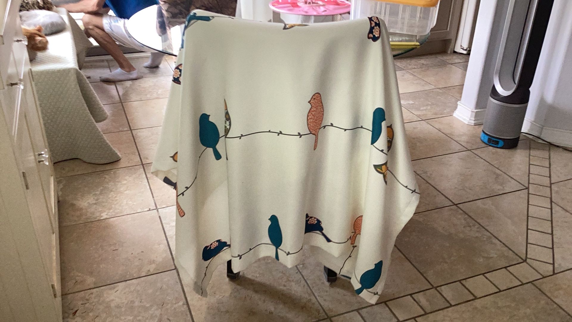 Cream Drapes With Multi Color Birds