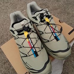 salomon xt 6 gtx