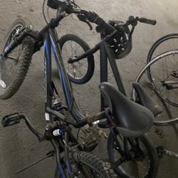 2 kids bicycles