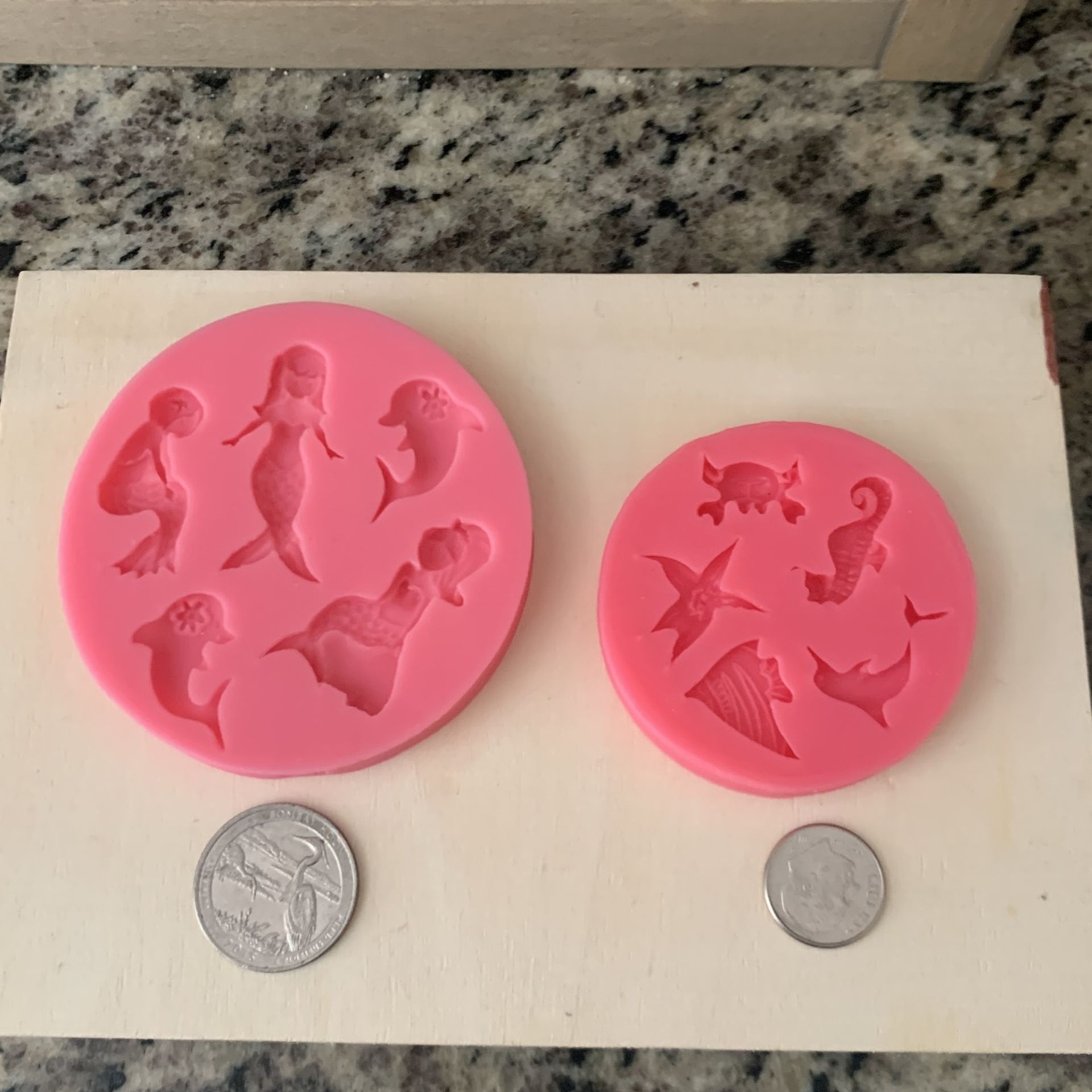 Silicon Molds