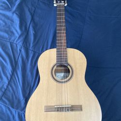 Acoustic Guitar