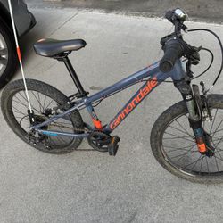 Cannondale Kids Mountain Bike