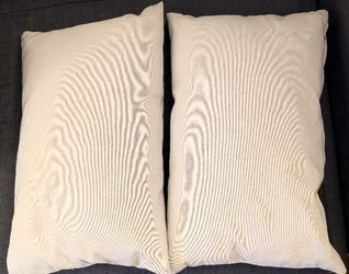 Ikea pillows with covers 23" x 16"
