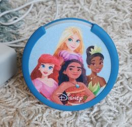 Disney Princess Amazon Echo Like New